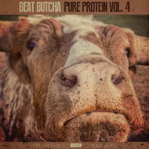 Beat Butcha – Pure Protein Drum Kit Vol.4 (WAV)-Soundhoard