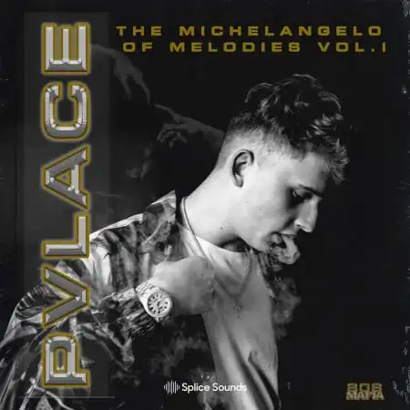 Splice Sounds – Pvlace Michelangelo of Melodies Vol. 1 (WAV)-Soundhoard