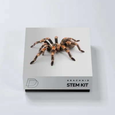 DrumVault – Arachnid – Stem Kit (WAV)-Soundhoard