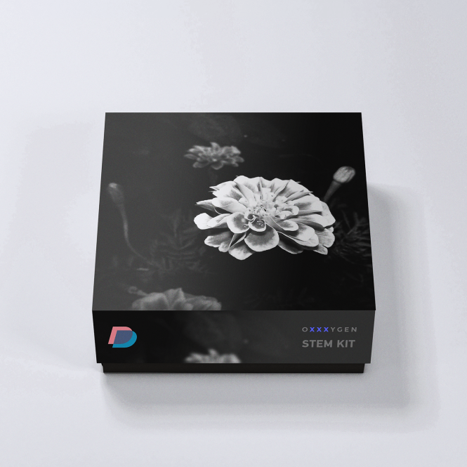 DrumVault – Oxxxygen Stem Kit (WAV)-Soundhoard