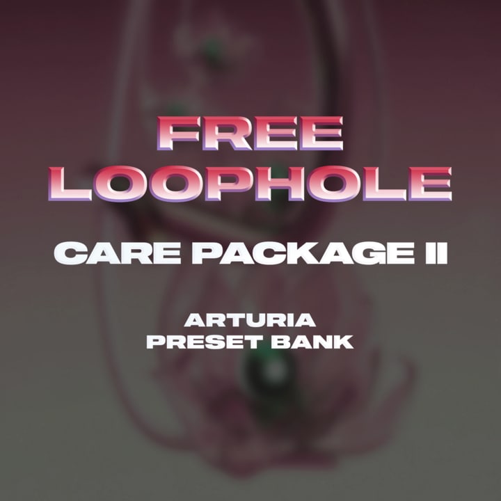 LOOPHOLE Care Package II (FREE ARTURIA PRESETS)-Soundhoard