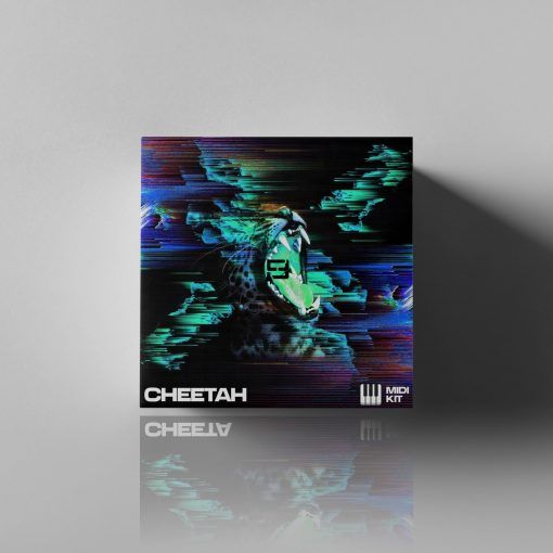 Studio Plug – Cheeta (Midi Kit)-Soundhoard