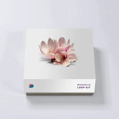 DrumVault – Magnolia Stem Kit (MIDI, WAV)-Soundhoard